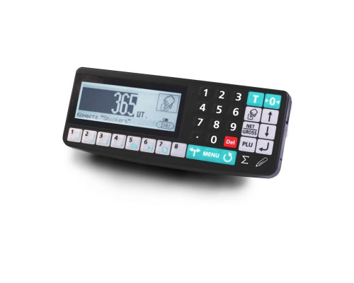 Весы платформенные Масса-К 4D-PM.S-15/12-2000-RA